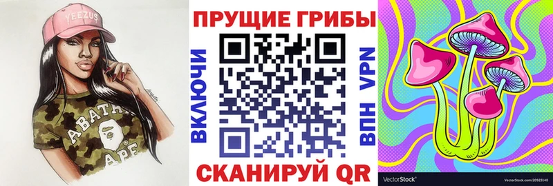 Галлюциногенные грибы MAGIC MUSHROOMS  цена наркотик  Санкт-Петербург 